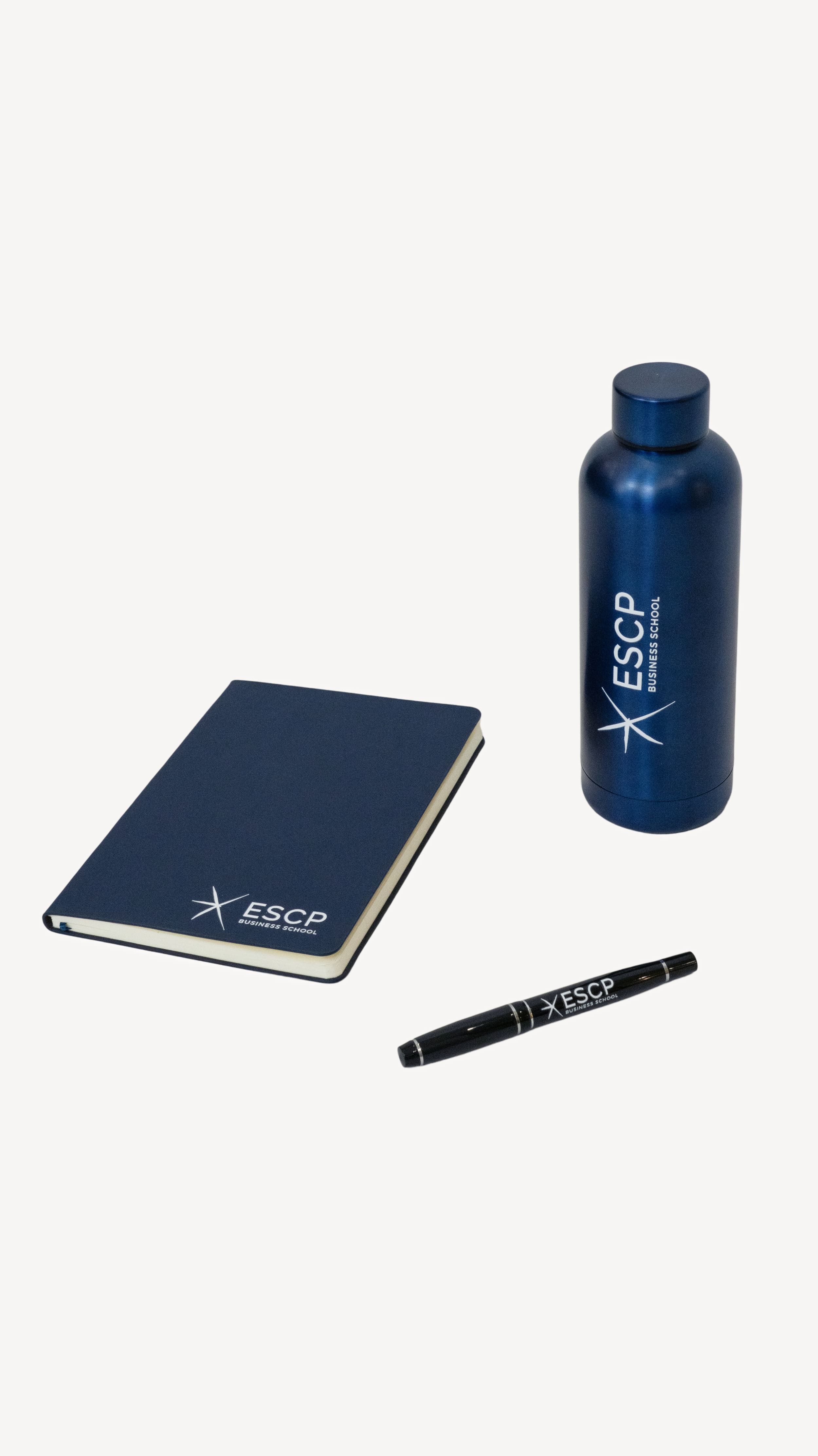 Stationary Bundle